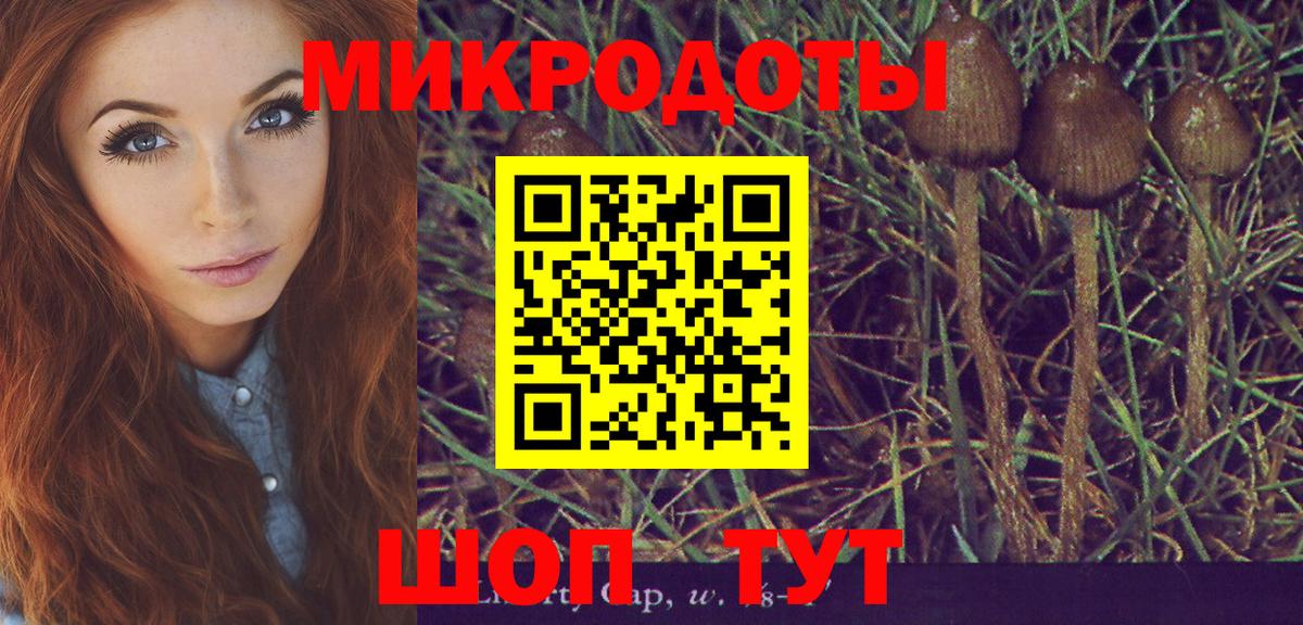 Псилоцибиновые грибы Cubensis Тихорецк